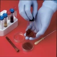 Best Manufacturing #7005PFS, GLOVE, PWDER-FREE, EXAM, N-DEX, 4-MIL, 9.5", S, 2000 EA/CS, 20 BX/CS Image Best Manufacturing #7005PFS, GLOVE, PWDER-FREE, EXAM, N-DEX, 4-MIL, 9.5", S, 2000 EA/CS, 20 BX/CS Image