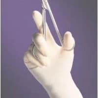 Bosma Ind. for the Blind #71-5785005, GLOVE, SURGICAL, STERILE, PF, LATEX, 8.0, 400 EA/CS, 200 PR/CS Image Bosma Ind. for the Blind #71-5785005, GLOVE, SURGICAL, STERILE, PF, LATEX, 8.0, 400 EA/CS, 200 PR/CS Image