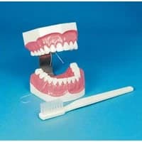Hager Worldwide #355636, Model Brush-N-Floss W/XL Brush XL-Tbrsh Ea Image Hager Worldwide #355636, Model Brush-N-Floss W/XL Brush XL-Tbrsh Ea Image